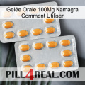 Gelée Orale 100Mg Kamagra Comment Utiliser cialis4